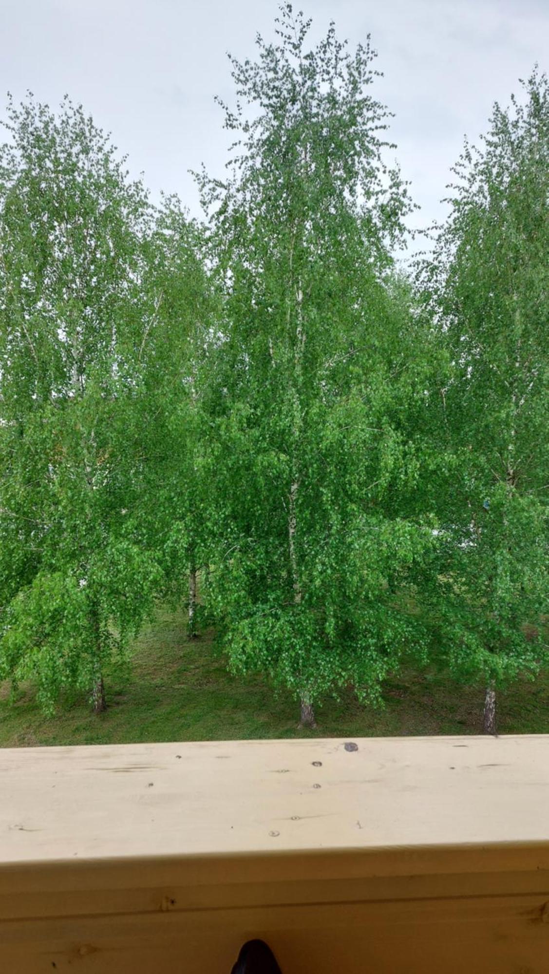 Apartamentai Gertruda Druskininkai Exterior foto